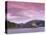 Eilean Donan Castle, Dornie, Lochalsh (Loch Alsh), Highlands, Scotland, United Kingdom, Europe-Patrick Dieudonne-Premier Image Canvas