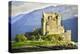 Eilean Donan Castle, Scotland-meunierd-Premier Image Canvas