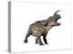 Einiosaurus Dinosaur, White Background-null-Stretched Canvas