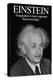 Einstein-Wilbur Pierce-Stretched Canvas