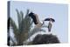 El Badi Palace, Marrakech. 1578. Stork's Nest-Natalie Tepper-Stretched Canvas