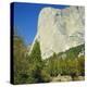 El Capitan, Yosemite National Park, California, USA-G Richardson-Premier Image Canvas