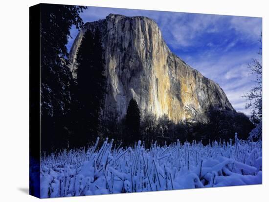 El Capitan, Yosemite National Park, California, USA-Scott Smith-Premier Image Canvas