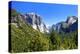 El Capitan - Yosemite National Park - Californie - United States-Philippe Hugonnard-Premier Image Canvas