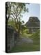 El Castillo Pyramid, Xunantunich Ancient Site, Cayo District, Belize-William Sutton-Premier Image Canvas