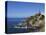 El Jupado, Playa De Las Americas, Tenerife, Canary Islands, Spain, Atlantic, Europe-Jeremy Lightfoot-Premier Image Canvas