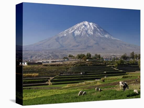 El Misti Volcano and Arequipa Town, Peru-Michele Falzone-Premier Image Canvas