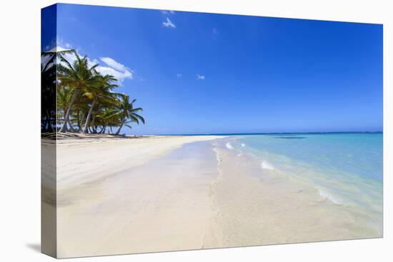 El Portillo Beach, Las Terrenas, Samana Peninsula, Dominican Republic, West Indies, Caribbean-Jane Sweeney-Premier Image Canvas