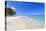 El Portillo Beach, Las Terrenas, Samana Peninsula, Dominican Republic, West Indies, Caribbean-Jane Sweeney-Premier Image Canvas