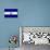 El Salvador Flag Design with Wood Patterning - Flags of the World Series-Philippe Hugonnard-Stretched Canvas displayed on a wall