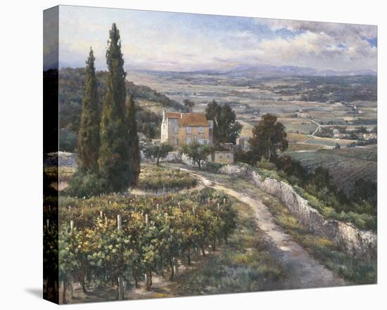 El Valle-A^ J^ Casson-Stretched Canvas