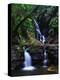 Elabana Falls-Bill Ross-Premier Image Canvas