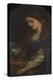 Elaine with the Armour of Launcelot-Arthur Hughes-Premier Image Canvas