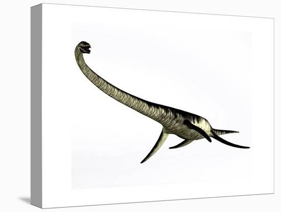 Elasmosaurus Marine Reptile from the Cretaceous Period-Stocktrek Images-Stretched Canvas