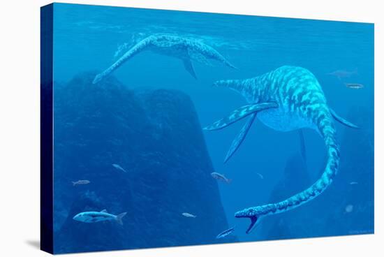 Elasmosaurus Marine Reptiles-Chris Butler-Premier Image Canvas