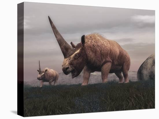 Elasmotherium Dinosaurs Grazing in the Steppe Grass-Stocktrek Images-Stretched Canvas