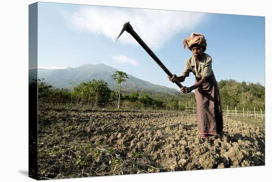 Elderly Female Farmer, Timor-Leste-Louise Murray-Premier Image Canvas