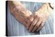 Elderly Woman's Hands-Victor De Schwanberg-Premier Image Canvas