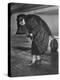 Eleanor Roosevelt Examining Rear Turret-Gunner's Compartment under the Tail Assembly of US Bomber-null-Premier Image Canvas