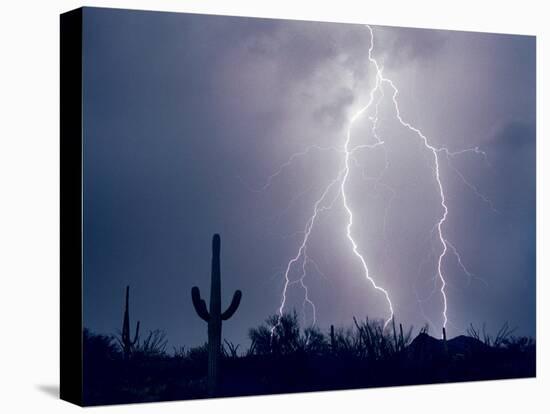 Electric Desert I-Douglas Taylor-Premier Image Canvas