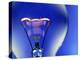 Electric Light Bulb-Lawrence Lawry-Premier Image Canvas