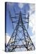 Electricity Pylon-Victor De Schwanberg-Premier Image Canvas