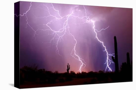 Electrifying-Douglas Taylor-Stretched Canvas