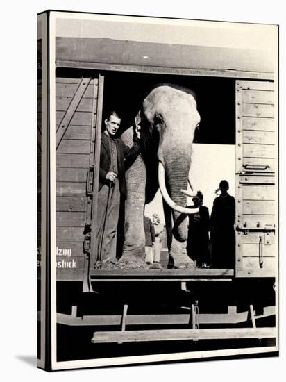 Elefant Mit Tierhüter Am Eingang Des Eisenbahnwaggons-null-Premier Image Canvas