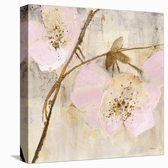 Elegance II Pink-Albena Hristova-Stretched Canvas