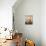 Elegance-Karsten Kirchner-Stretched Canvas displayed on a wall