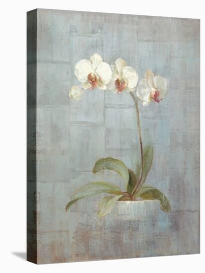 Elegant Orchid II-Danhui Nai-Stretched Canvas