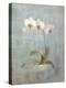 Elegant Orchid II-Danhui Nai-Stretched Canvas