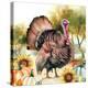 Elegant Thanksgiving Turkey II-Nicole DeCamp-Stretched Canvas