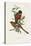 Elegant Trogons I-John Gould-Stretched Canvas