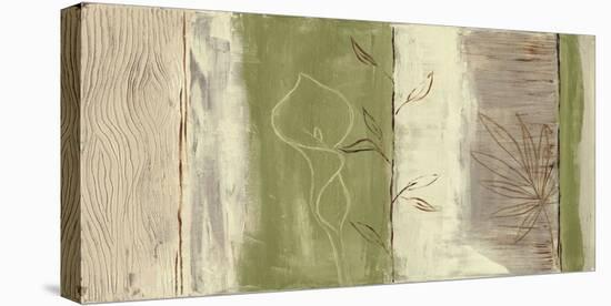 Elements of Nature I-Yvette St.Amant-Stretched Canvas