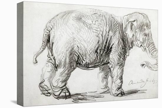 Elephant, 1637, Black Chalk Drawing-Rembrandt van Rijn-Premier Image Canvas