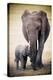 Elephant and Baby-null-Stretched Canvas