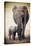 Elephant and Baby-null-Stretched Canvas