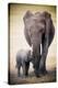 Elephant and Baby-null-Stretched Canvas