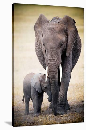 Elephant and Baby-null-Stretched Canvas