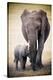 Elephant and Baby-null-Stretched Canvas