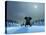 Elephant and Dog at Christmas Night-Mike_Kiev-Premier Image Canvas