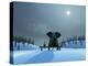 Elephant and Dog at Christmas Night-Mike_Kiev-Premier Image Canvas