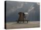 Elephant And Dog Sit Under The Rain-Mike_Kiev-Premier Image Canvas