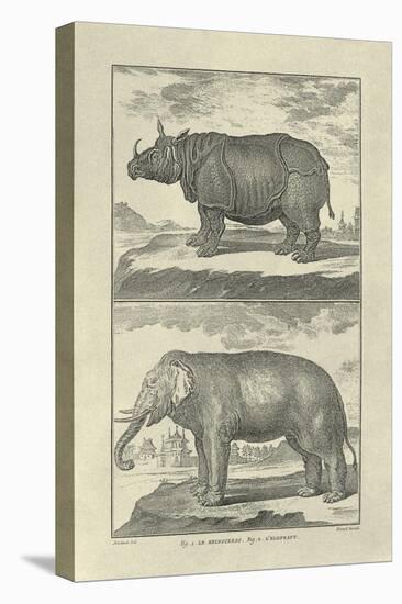 Elephant and Rhino-Denis Diderot-Stretched Canvas