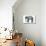 Elephant Brand French Coffee-null-Stretched Canvas displayed on a wall