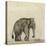 Elephant, C.1790-Gungaram Tambat-Premier Image Canvas