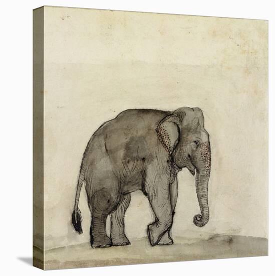 Elephant, C.1790-Gungaram Tambat-Premier Image Canvas