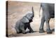 Elephant calf climbing out of the water hole in Hwange National Park, Zimbabwe, Africa-Karen Deakin-Premier Image Canvas