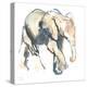 Elephant calf, Loisaba, 2017)-Mark Adlington-Premier Image Canvas